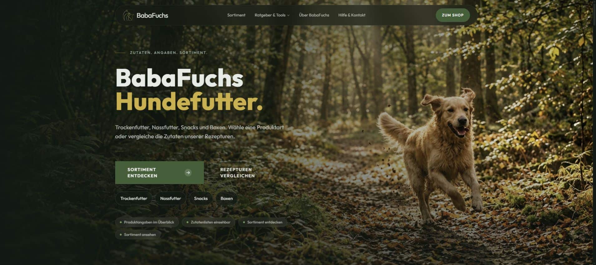 Startansicht der BabaFuchs-Website mit Hundefutterangebot und Hund im Wald