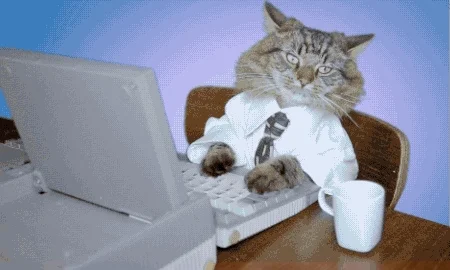 Katze am Computer